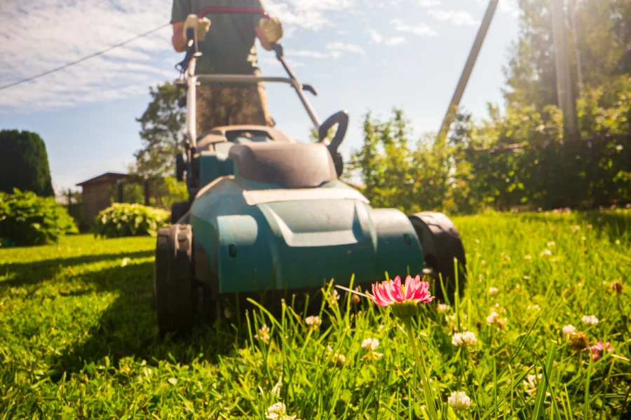 Affordable Landscaper