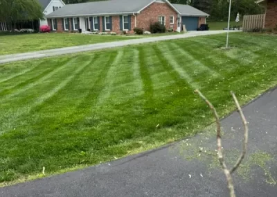 Affordable landscaping services