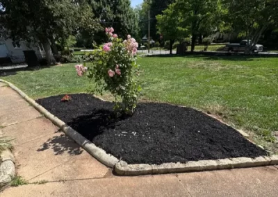 Dependable landscape company