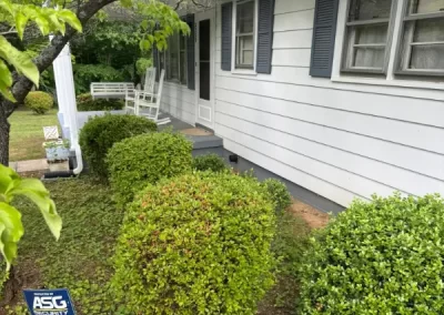 Excellent landscape company