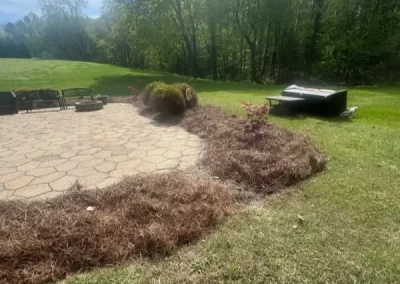 Excellent landscaping services