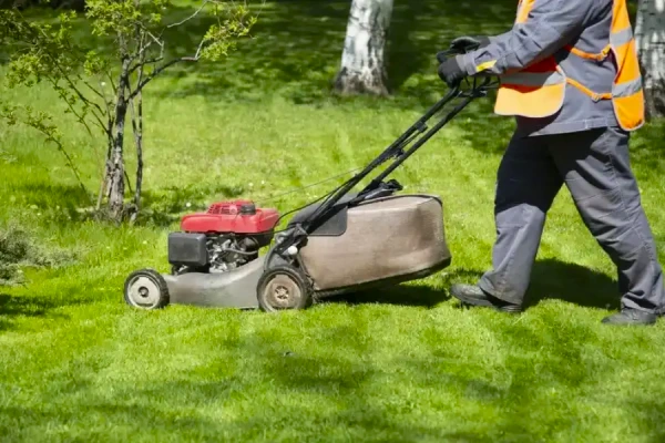 Lawn Mowing