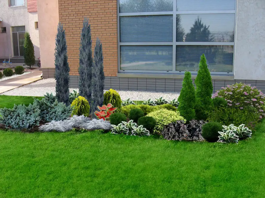 Professional Landscaper