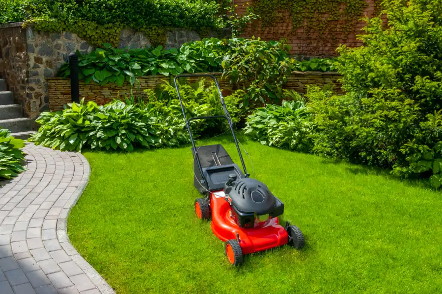 Professional landscape company in Reidsville, NC Professional landscape company in Reidsville, NC