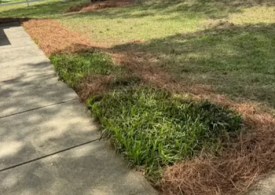 Proper landscaping services