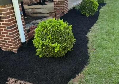 Quality landscaping services