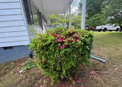 Reliable landscape company