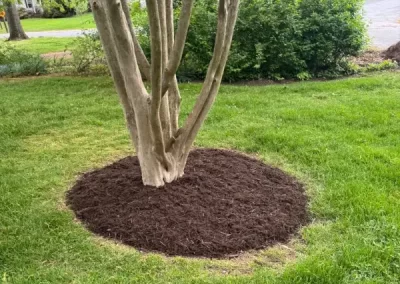 Reliable landscaping contractor