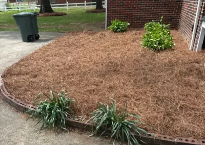 Superb landscape company