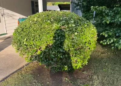 Superb landscaping services
