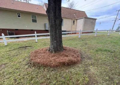 Top-rated landscape company