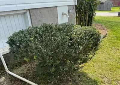 Top-rated landscaping services