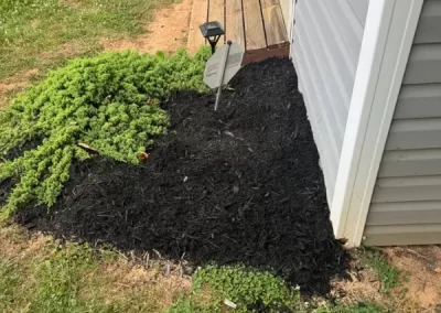 Trusted landscape company